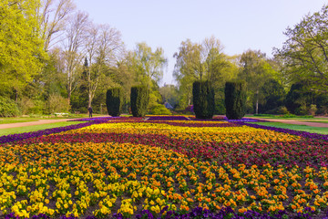 Fototapeta premium Garden landscape