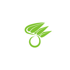 O letter organic green logo, leaf eco icon, concept vegetarian