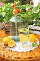 Homemade lemonade with fresh citruses