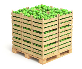 Green apples in wooden crates
