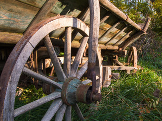 Alter Pferdekarren in der Wiese