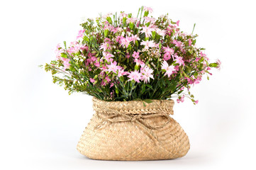 per monica in primavera