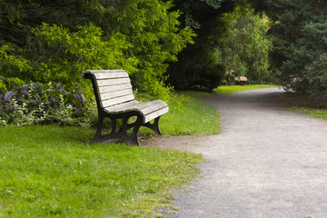 Empty chair in a quiet park next to a way