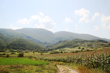 Rural landscape