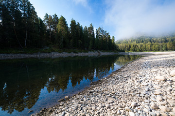 Summer mountain river. Altay river Biya.