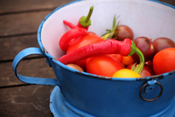Frisches aus dem Gemüsegarten