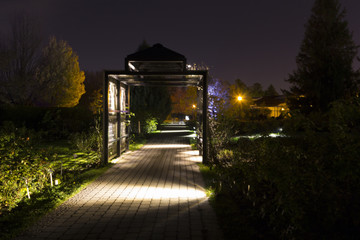 Illuminated wooden tunnel in the middle of the vegetation