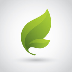 Green Leaf Icon