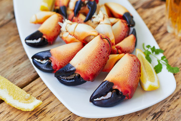 Boiled crab claws on a plate and beer