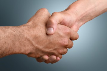 Adult. Hand Shake
