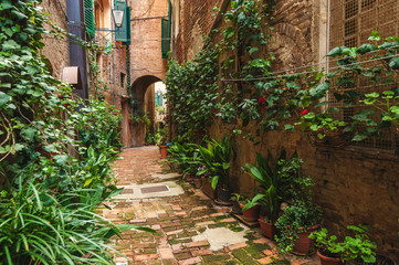 Fototapeta na wymiar Hidden streets of the ancient city of Siena, Italy
