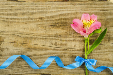 Yellow flower with blue ribbon on wooden table