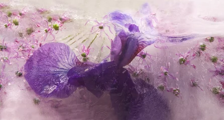Keuken spatwand met foto Frozen   flower of  iris © foryouinf