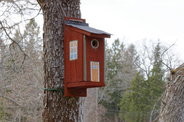 Painted bird house