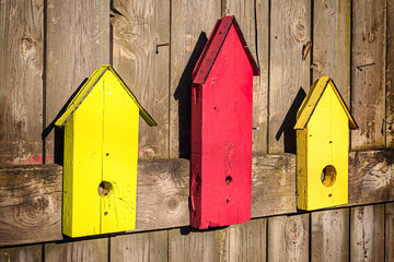 Garden Decoration