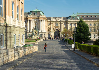 Obraz premium Royal castle of Buda at spring time in Budapest