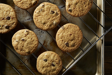 Chocolate Chip Cookies From the Oven