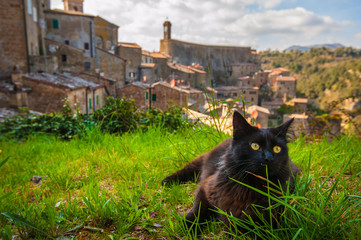 Beautiful medieval town in northern Tuscany, Sorano