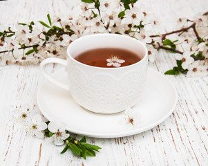 Cup of tea and spring blossom