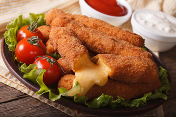 Hot fried cheese close-up on a plate