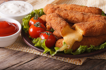 Hot fried cheese and vegetables close-up, horizontal, rustic