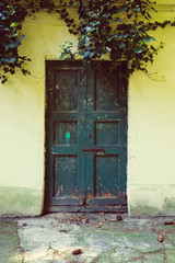 Old door with leaf