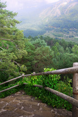 Fototapeta na wymiar staircase in forest of mountains.