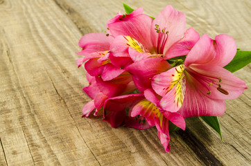 Pink flowers bouquet  on wooden table