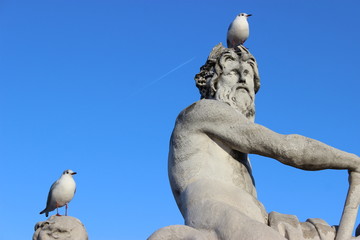 Oiseau sur la t&ecirc;te d&rsquo;une statue