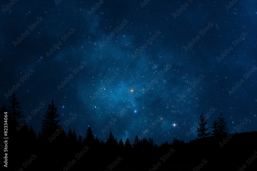 Wall mural night sky with trees