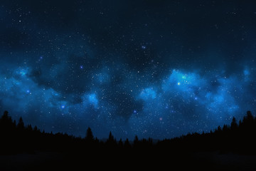 Fototapeta na wymiar Night sky with trees