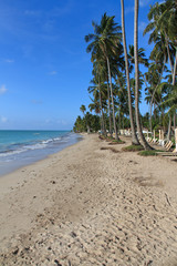 Beach in Maragogi, Alagoas - Brazil