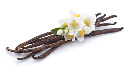 Vanilla pods with jasmine