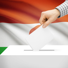 Ballot box with national flag on background - Niger