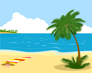 Fototapeta na wymiar Sea shore with palm tree