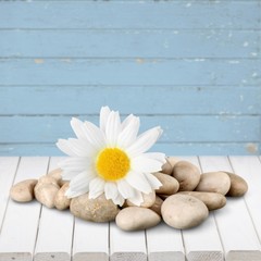 Fototapeta na wymiar Flower. Flower and rocks - spa theme