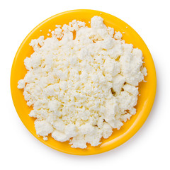 Fresh curd cheese