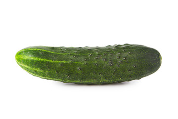 Cucumber