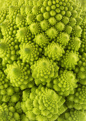 romanesco broccoli background