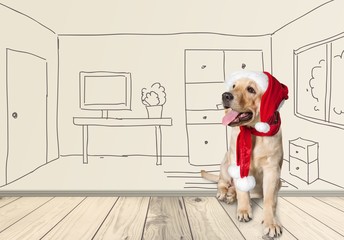 Pet. Retriever puppy in a Santa Claus hat, isolated on white