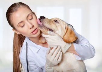 Adult. Cute dog giving a kiss to the vet after a checkup