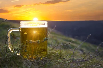 Türaufkleber Mug of cold beer © igorbukhlin