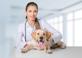 Fototapeta na wymiar Veterinarian. Portrait of happy female veterinarian holding