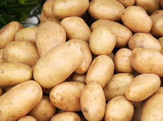 Young potatoes pile