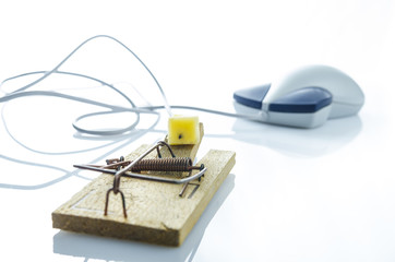 piège souris