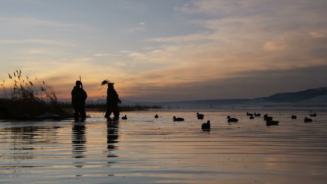 two hunters throwing duck decoys onto a pond