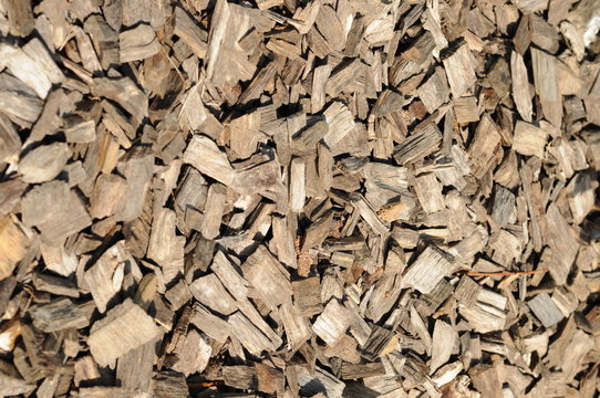 Holzschnippsel