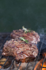 Beef steak on garden grill
