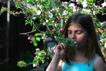 Girl Smelling Blooming Apple Tree Branch