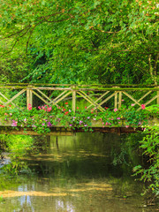 Fototapeta na wymiar Old small bridge over river in green garden.